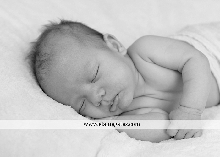 Mechanicsburg Central PA newborn baby portrait photographer twins boys brothers sleeping blanket jc 3