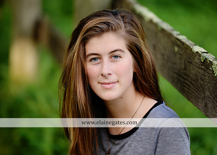 mechanicsburg-central-pa-senior-portrait-photographer-outdoor-female-girl-field-road-fence-tree-creek-stream-water-rocks-wp-4