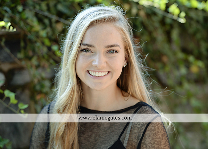 mechanicsburg-central-pa-senior-portrait-photographer-outdoor-female-girl-formal-swing-hammock-brick-wall-stone-wall-steps-bridge-road-beams-covered-bridge-messiah-college-wildflowers-nl06