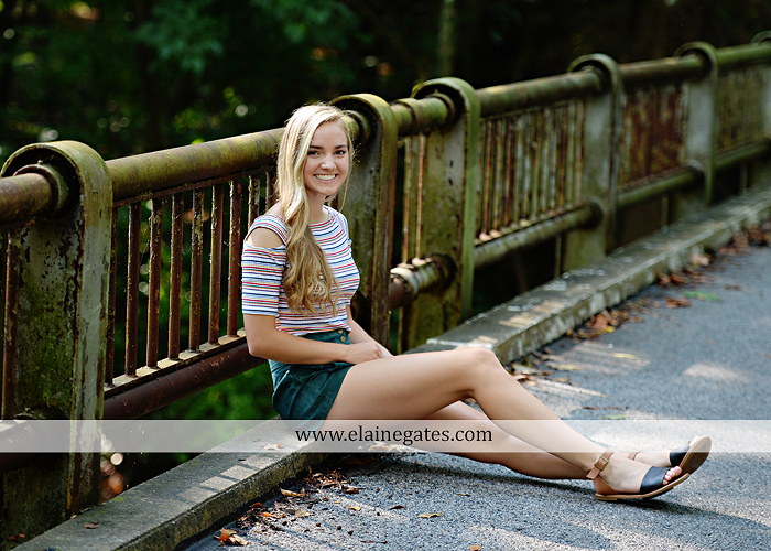 mechanicsburg-central-pa-senior-portrait-photographer-outdoor-female-girl-formal-swing-hammock-brick-wall-stone-wall-steps-bridge-road-beams-covered-bridge-messiah-college-wildflowers-nl09