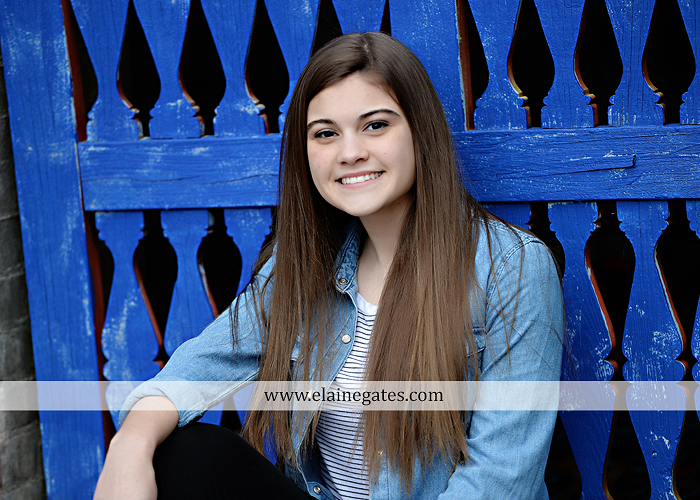 Mechanicsburg Central PA senior portrait photographer outdoor girl female Venue Chilton brick wall stone wall stone arch steps iron gate  red land high school RLHS k 5