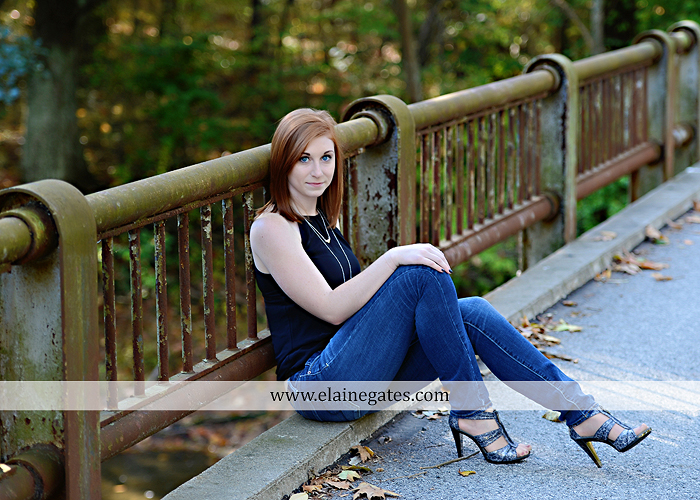 Mechanicsburg Central PA senior portrait photographer outdoor girl female formal rustic bridge stone brick wall road trees covered bridge messiah college wooden beams water stream creek leaves zm 04
