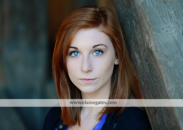 Mechanicsburg Central PA senior portrait photographer outdoor girl female formal rustic bridge stone brick wall road trees covered bridge messiah college wooden beams water stream creek leaves zm 09