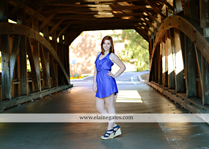 Mechanicsburg Central PA senior portrait photographer outdoor girl female formal rustic bridge stone brick wall road trees covered bridge messiah college wooden beams water stream creek leaves zm 10