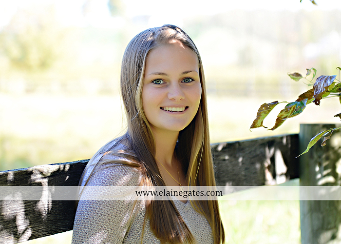 Mechanicsburg Central PA senior portrait photographer outdoor girl female road trees field water stream creek fall fence kg 5