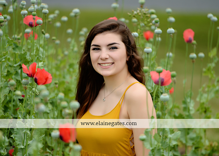 Mechanicsburg Central PA senior portrait photographer outdoor girl formal grass bench swing hammock wildflowers road field fence tree creek brick wall gate doorway steps staircase windows ed05