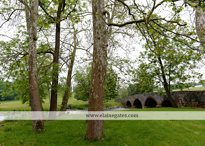 Mechanicsburg Central PA venue photographer outdoor business venue chilton weddings gatherings celebrations historical architecture outdoor events farm pool iron gates plants trees flowers 01
