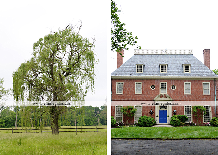 Mechanicsburg Central PA venue photographer outdoor business venue chilton weddings gatherings celebrations historical architecture outdoor events farm pool iron gates plants trees flowers 03