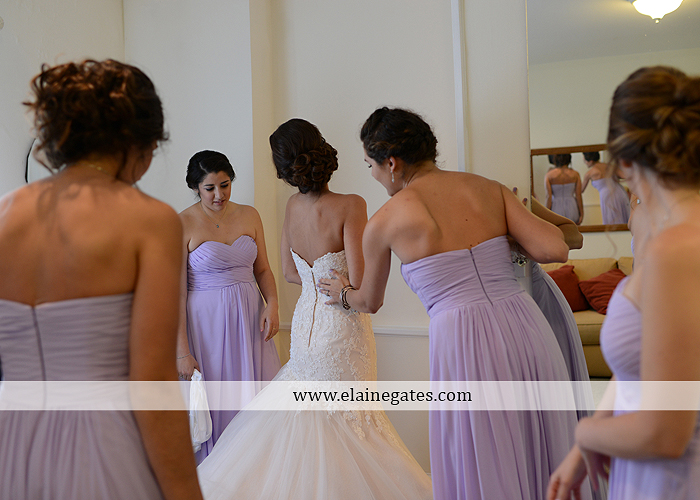 Riverdale Manor wedding photographer lancaster pa purple thyme and seasons petals with style mixed up productions blush beautiful rosamund vera weng azazie yazmin atlantic charter 05