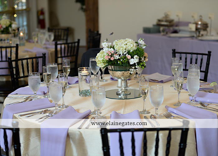 Riverdale Manor wedding photographer lancaster pa purple thyme and seasons petals with style mixed up productions blush beautiful rosamund vera weng azazie yazmin atlantic charter 48