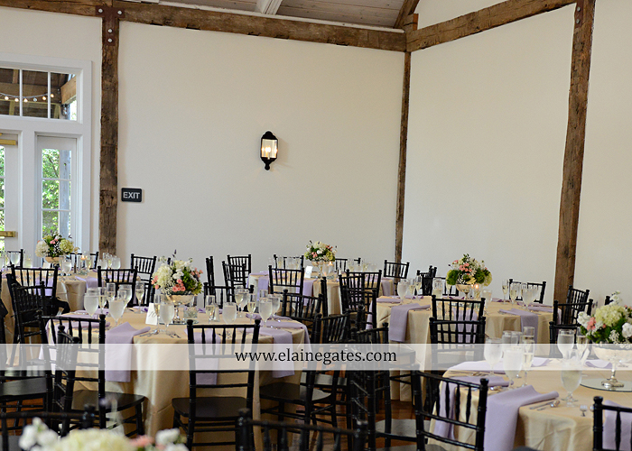 Riverdale Manor wedding photographer lancaster pa purple thyme and seasons petals with style mixed up productions blush beautiful rosamund vera weng azazie yazmin atlantic charter 49