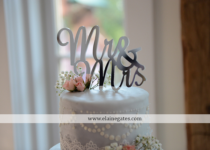 Riverdale Manor wedding photographer lancaster pa purple thyme and seasons petals with style mixed up productions blush beautiful rosamund vera weng azazie yazmin atlantic charter 50