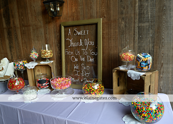 Riverdale Manor wedding photographer lancaster pa purple thyme and seasons petals with style mixed up productions blush beautiful rosamund vera weng azazie yazmin atlantic charter 61