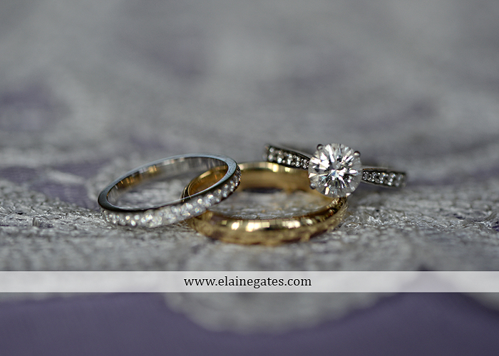 Riverdale Manor wedding photographer lancaster pa purple thyme and seasons petals with style mixed up productions blush beautiful rosamund vera weng azazie yazmin atlantic charter 62