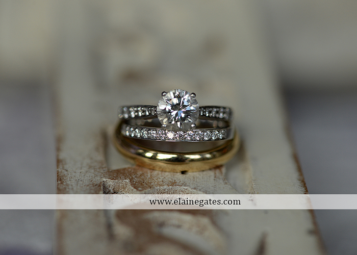 Riverdale Manor wedding photographer lancaster pa purple thyme and seasons petals with style mixed up productions blush beautiful rosamund vera weng azazie yazmin atlantic charter 63