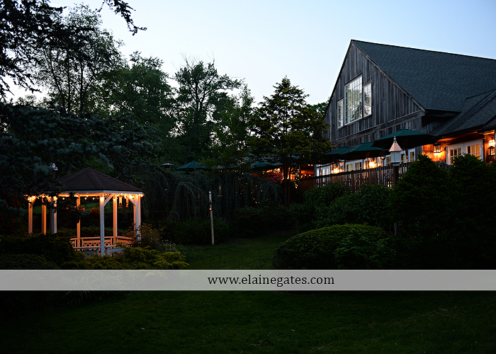 Riverdale Manor wedding photographer lancaster pa purple thyme and seasons petals with style mixed up productions blush beautiful rosamund vera weng azazie yazmin atlantic charter 70