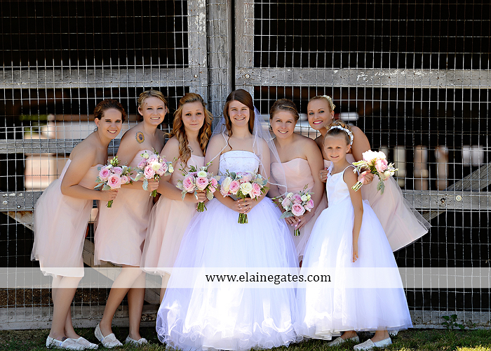 Strock Enterprise wedding photographer the catering barn soundwaves entertainment the pennsylvania bakery weddings and blooms deswert productions david's bridal men's wearhouse05