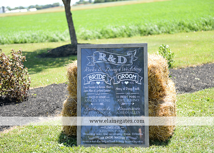 Strock Enterprise wedding photographer the catering barn soundwaves entertainment the pennsylvania bakery weddings and blooms deswert productions david's bridal men's wearhouse08