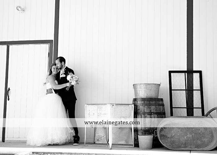 Strock Enterprise wedding photographer the catering barn soundwaves entertainment the pennsylvania bakery weddings and blooms deswert productions david's bridal men's wearhouse18