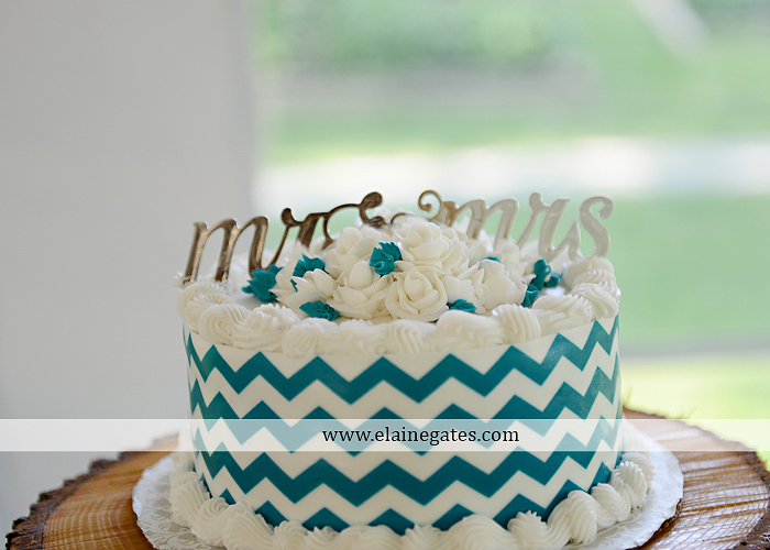 The Historic Shady Lane Wedding Photographer tan aqua blue Flavors Etc. caterer Sweet Sanctions Blooms By Vickrey 62