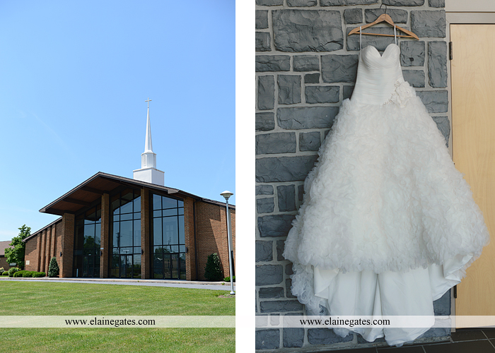 carlisle pa wedding photographer yellow  gerber daisy flood 22
