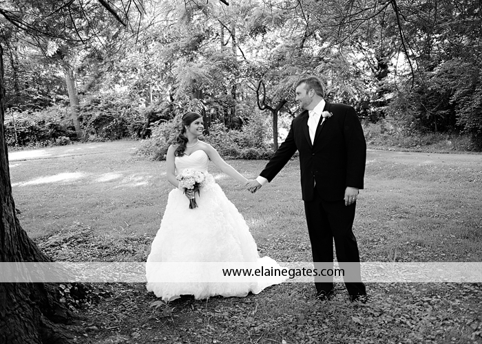 carlisle pa wedding photographer yellow  gerber daisy flood 4