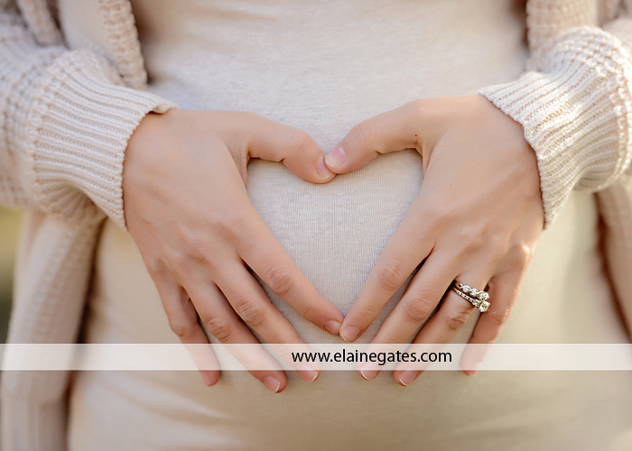 fort hunter harrisburg pa maternity photographer ab 3