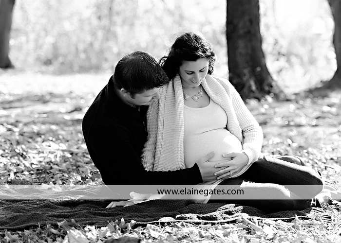 fort hunter harrisburg pa maternity photographer ab 4
