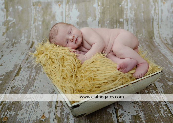 harrisburg pa newborn baby photographer, jr 5