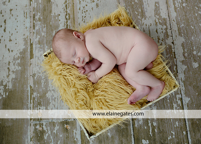 harrisburg pa newborn baby photographer, jr 6