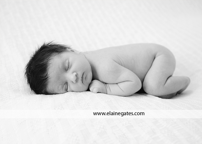 harrisburg pa newborn photographer ab 1