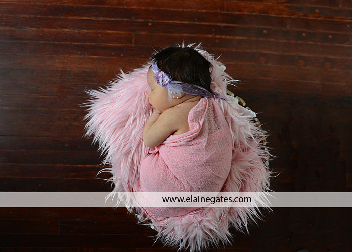 harrisburg pa newborn photographer ab 3