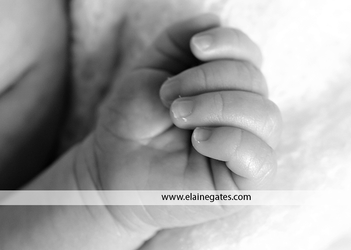 harrisburg pa newborn photographer ab 4