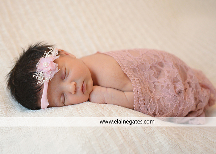 harrisburg pa newborn photographer ab 6