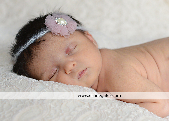 harrisburg pa newborn photographer ab 7