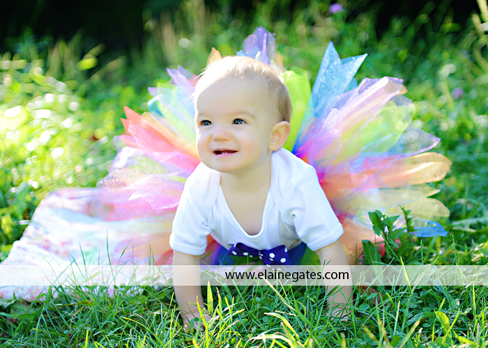 mechanicsburg pa family photographer first birthday tutu bh 4
