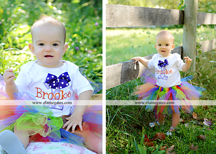 mechanicsburg pa family photographer first birthday tutu bh 5
