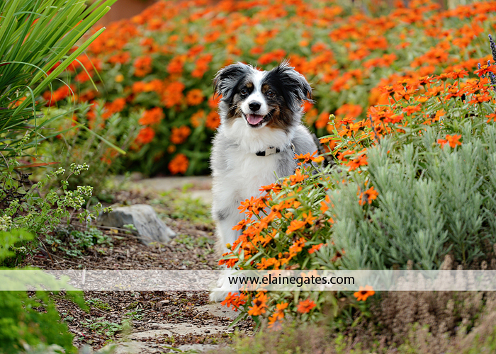 messiah college childrens outdoor photographer pa sf 11