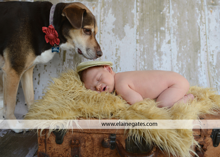 newborn central pa photographer 2