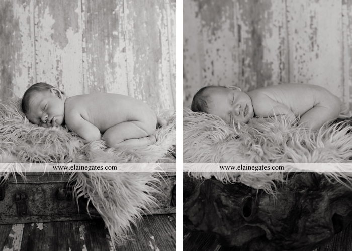newborn central pa photographer 3