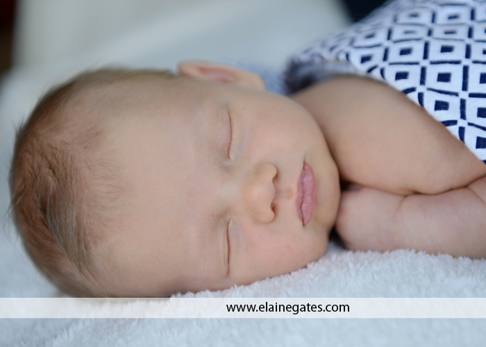 newborn central pa photographer 4