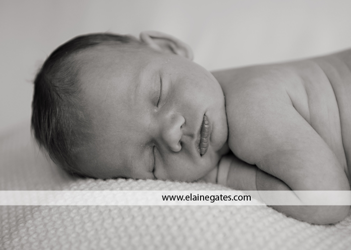 newborn central pa photographer 5