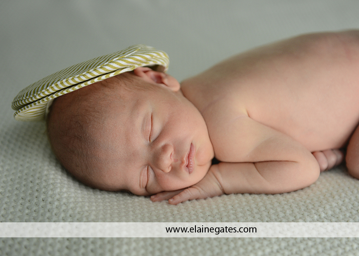 newborn portrait photographer lancaster pa cm 2