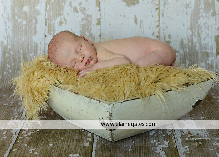 newborn portrait photographer lancaster pa cm 3