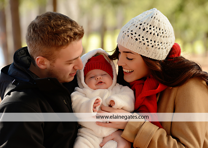 york pa family photographer christmas theme ch 3