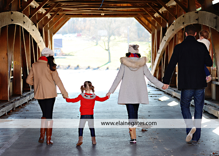 york pa family photographer christmas theme ch 4